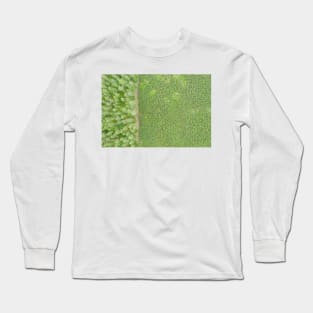 Top down aerial view of green nursery forest bordering with mature forest Long Sleeve T-Shirt